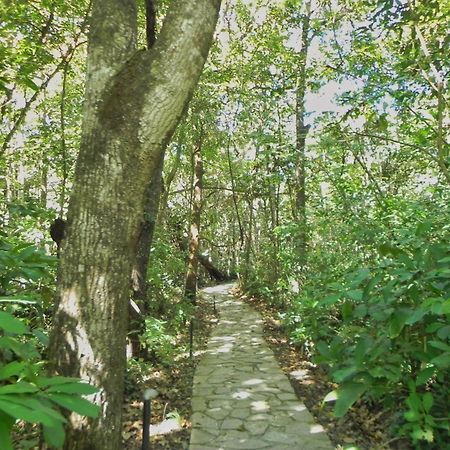 Pousada Eden - Conforto, Imersao E Natureza São Jorge Eksteriør billede