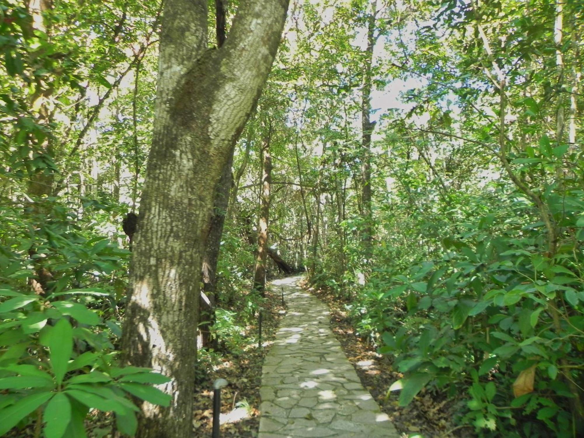 Pousada Eden - Conforto, Imersao E Natureza São Jorge Eksteriør billede