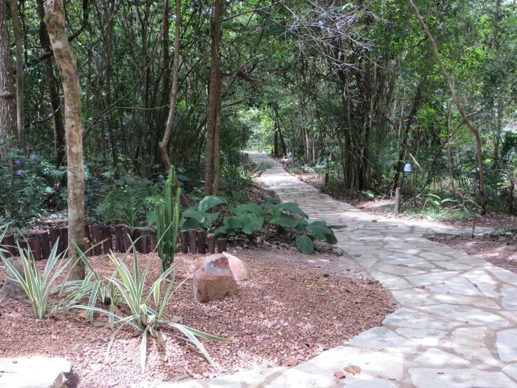 Pousada Eden - Conforto, Imersao E Natureza São Jorge Eksteriør billede